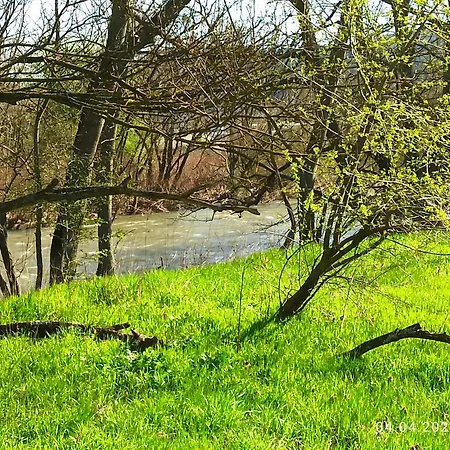 Laila * Hochstetten-Dhaun