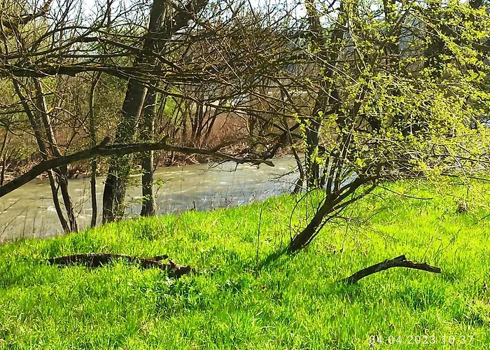 Laila * Hochstetten-Dhaun